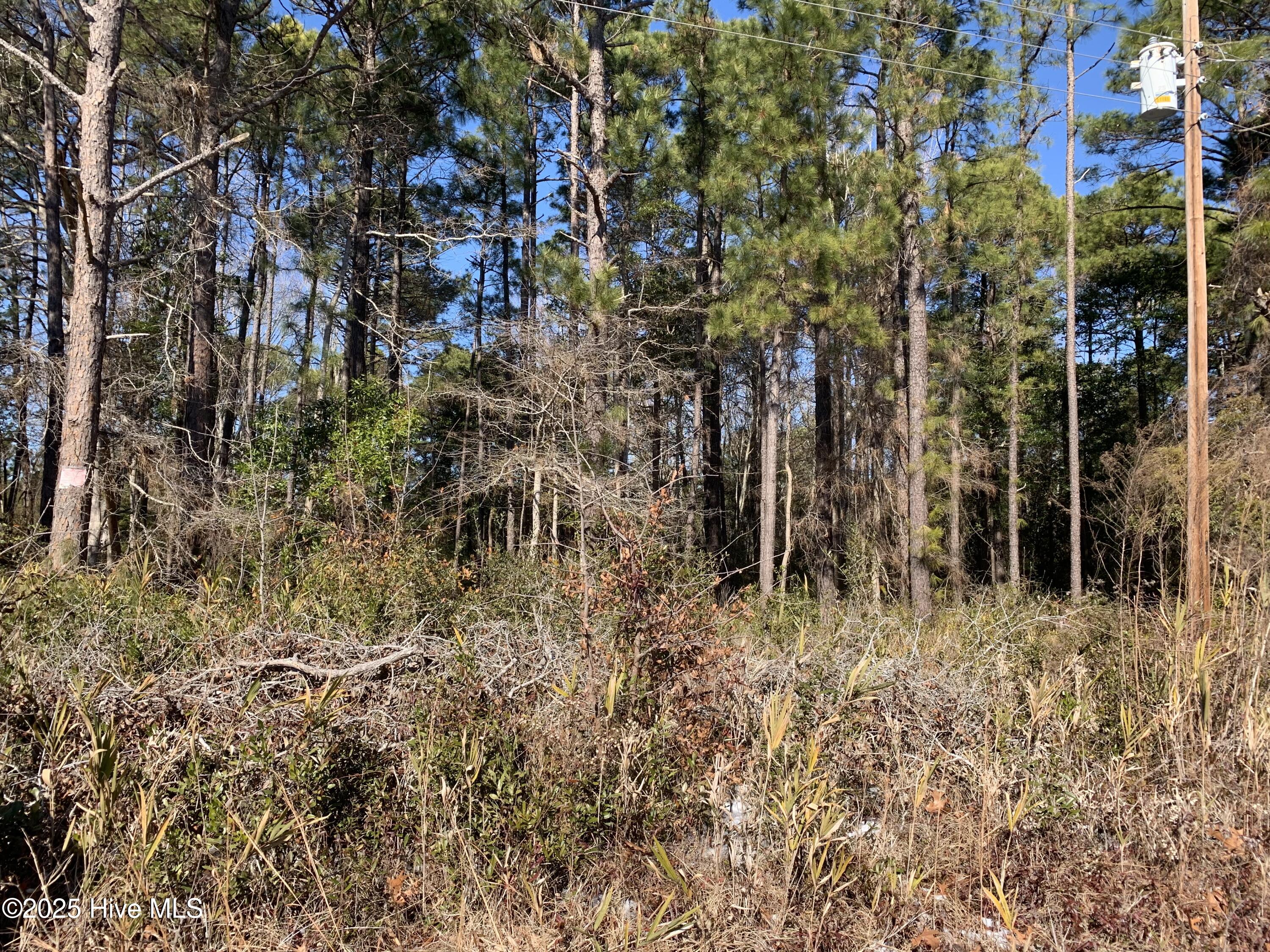 2778 Swallow Place Property Photo 2