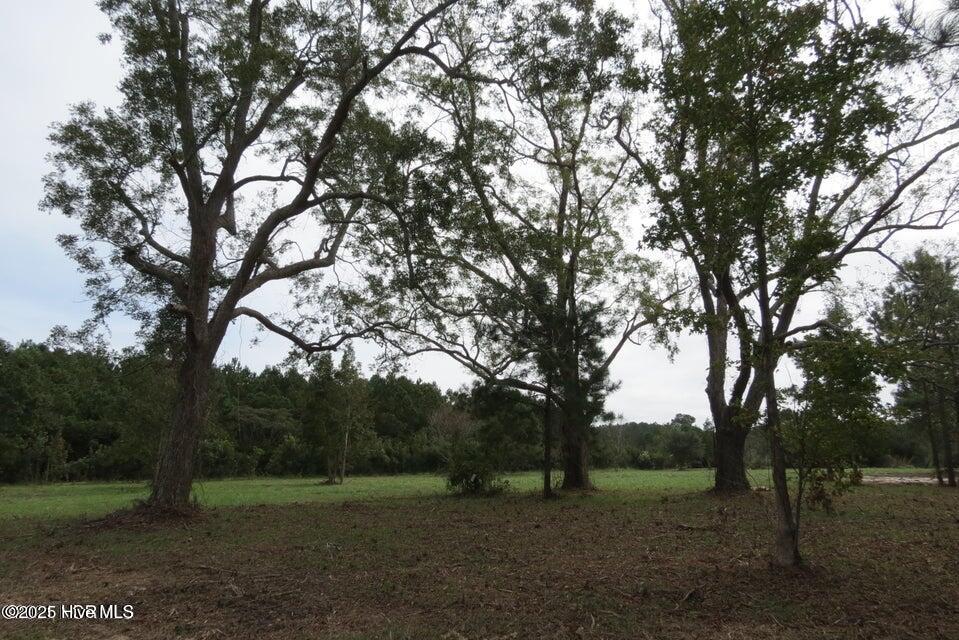 3937 Whortonsville Road Property Photo 4