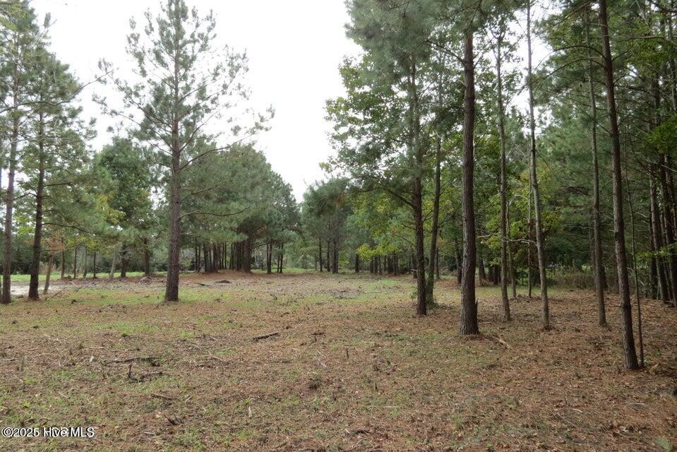 3937 Whortonsville Road Property Photo 5