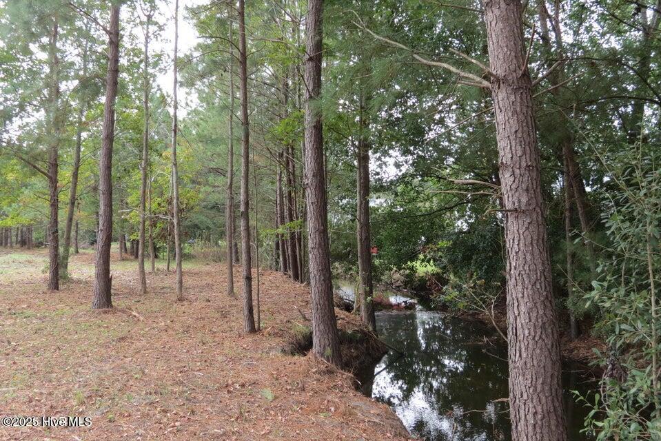 3937 Whortonsville Road Property Photo 6