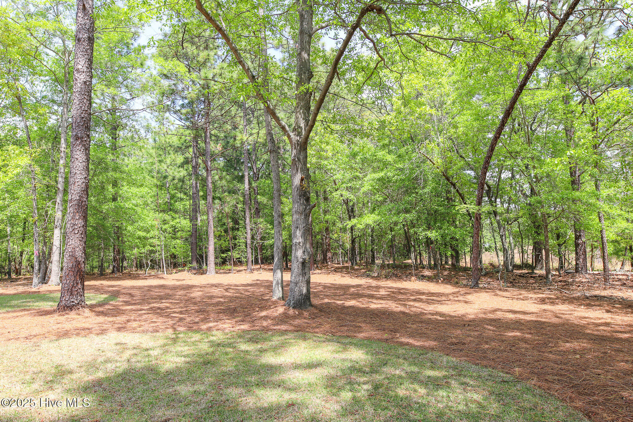 103 Bexley Court Property Photo 12