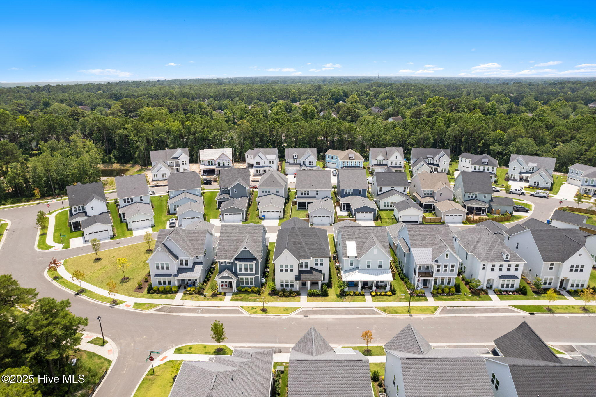 3836 Mason Port Drive Property Photo 42