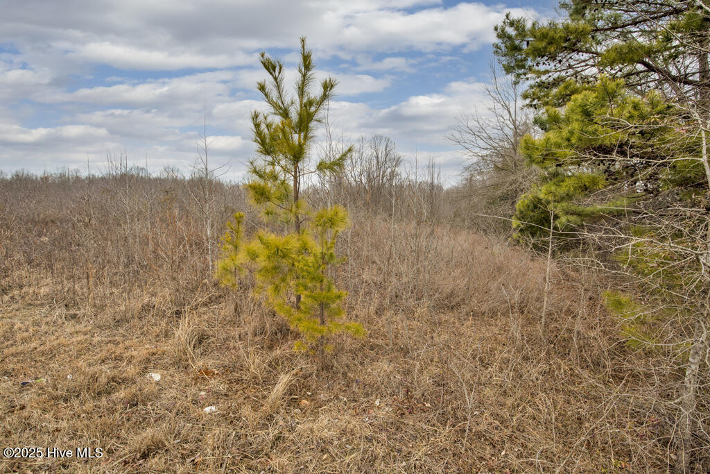 10238 Silk Hope Liberty Road Property Photo 21