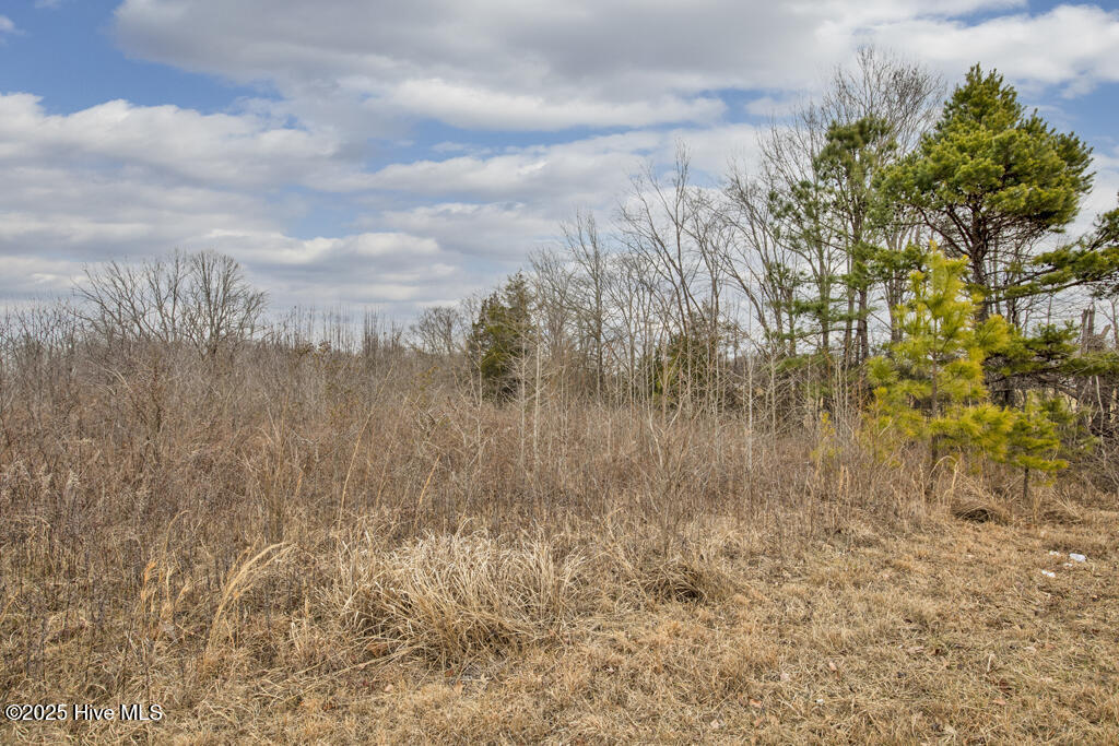 10238 Silk Hope Liberty Road Property Photo 22