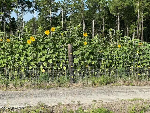 811 Highway 70 Davis Property Photo 144