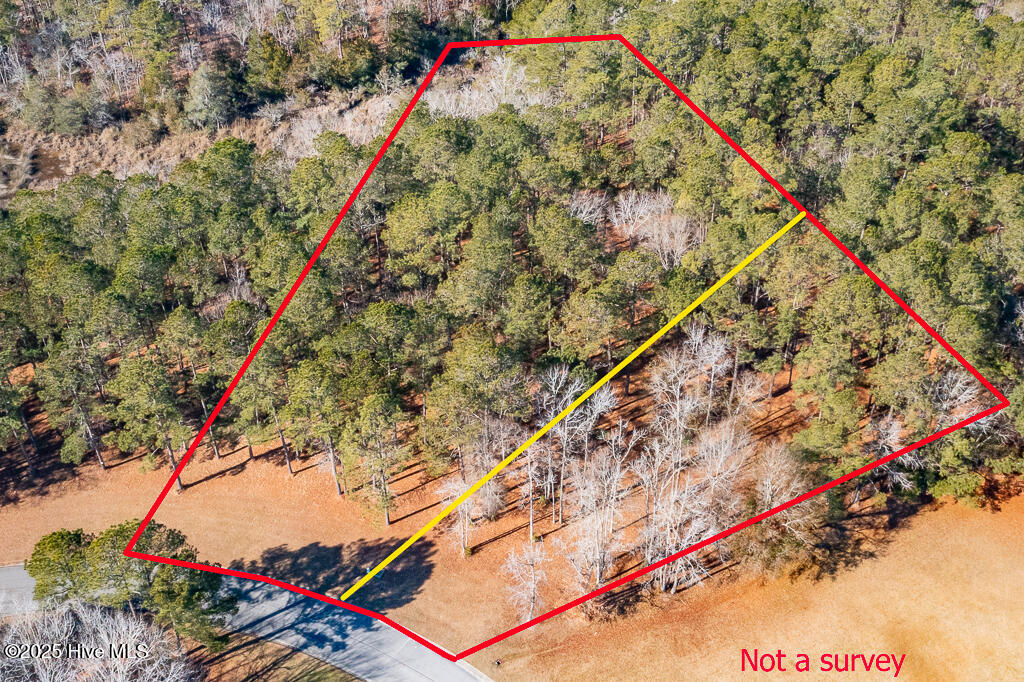 831 Southern Plantation Drive Property Photo 2