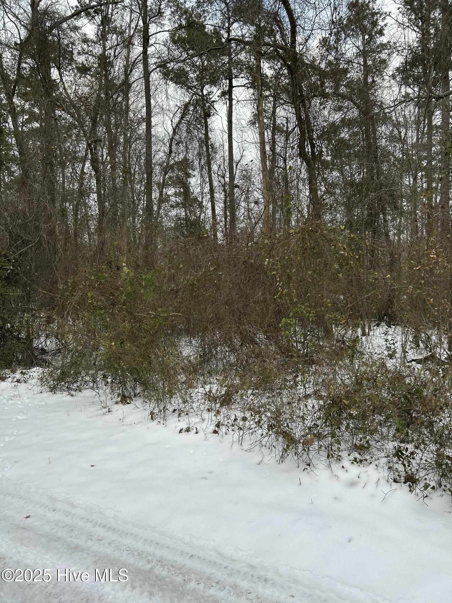 18 Riverview Drive Property Photo 2