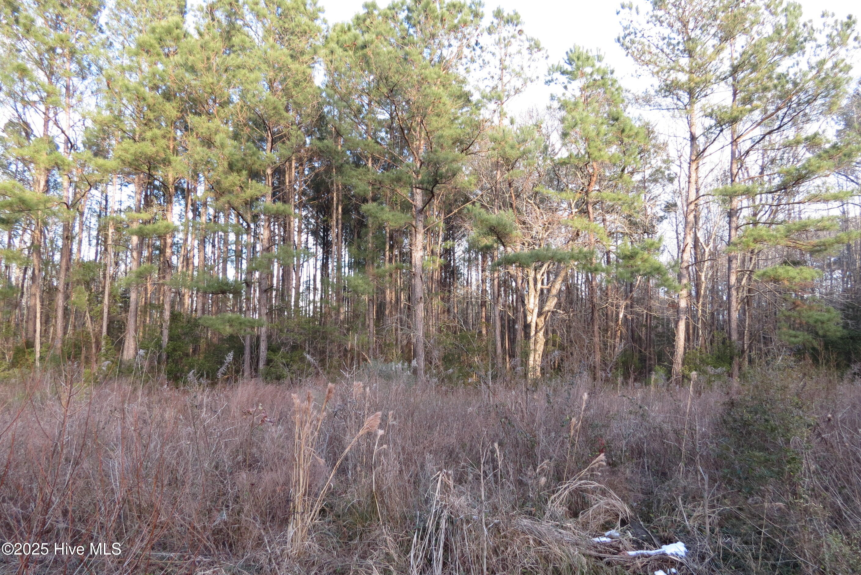 140 Wildwood Drive Property Photo 9
