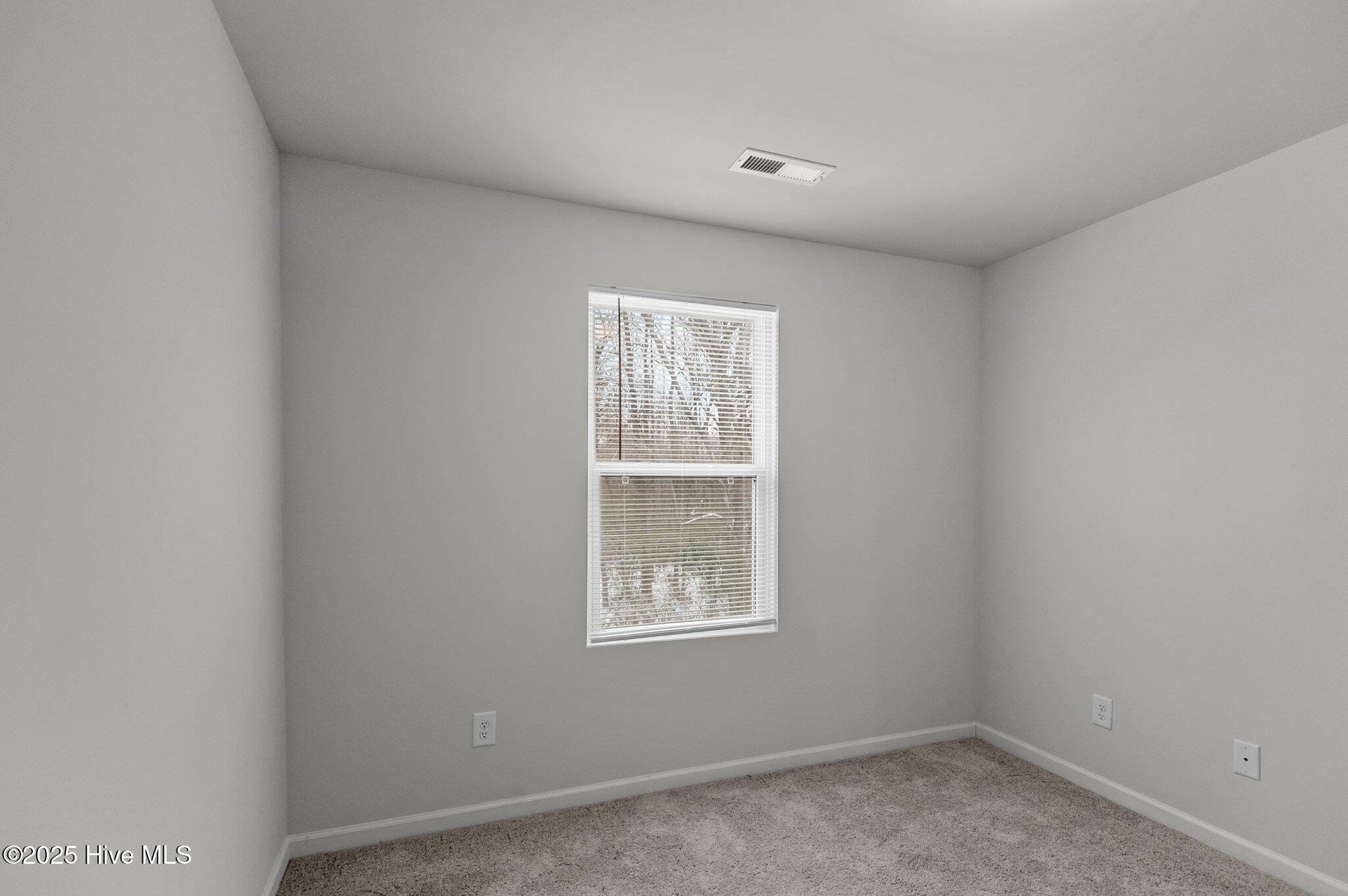 135 Chase Drive Property Photo 31