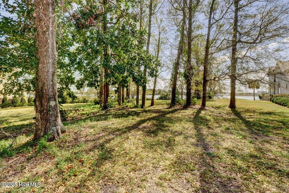 1111 Pembroke Jones Drive Property Photo 4
