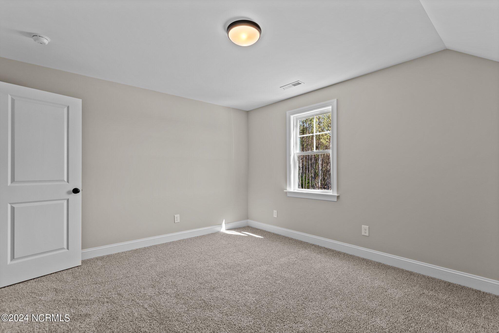 4509 Sweet Williams Lane Property Photo 19
