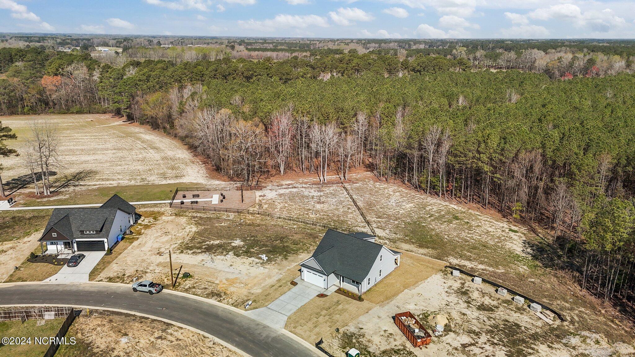4509 Sweet Williams Lane Property Photo 28