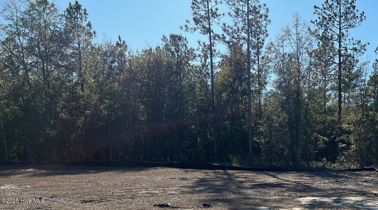 2773 W Timber Crest Lane Property Photo 1