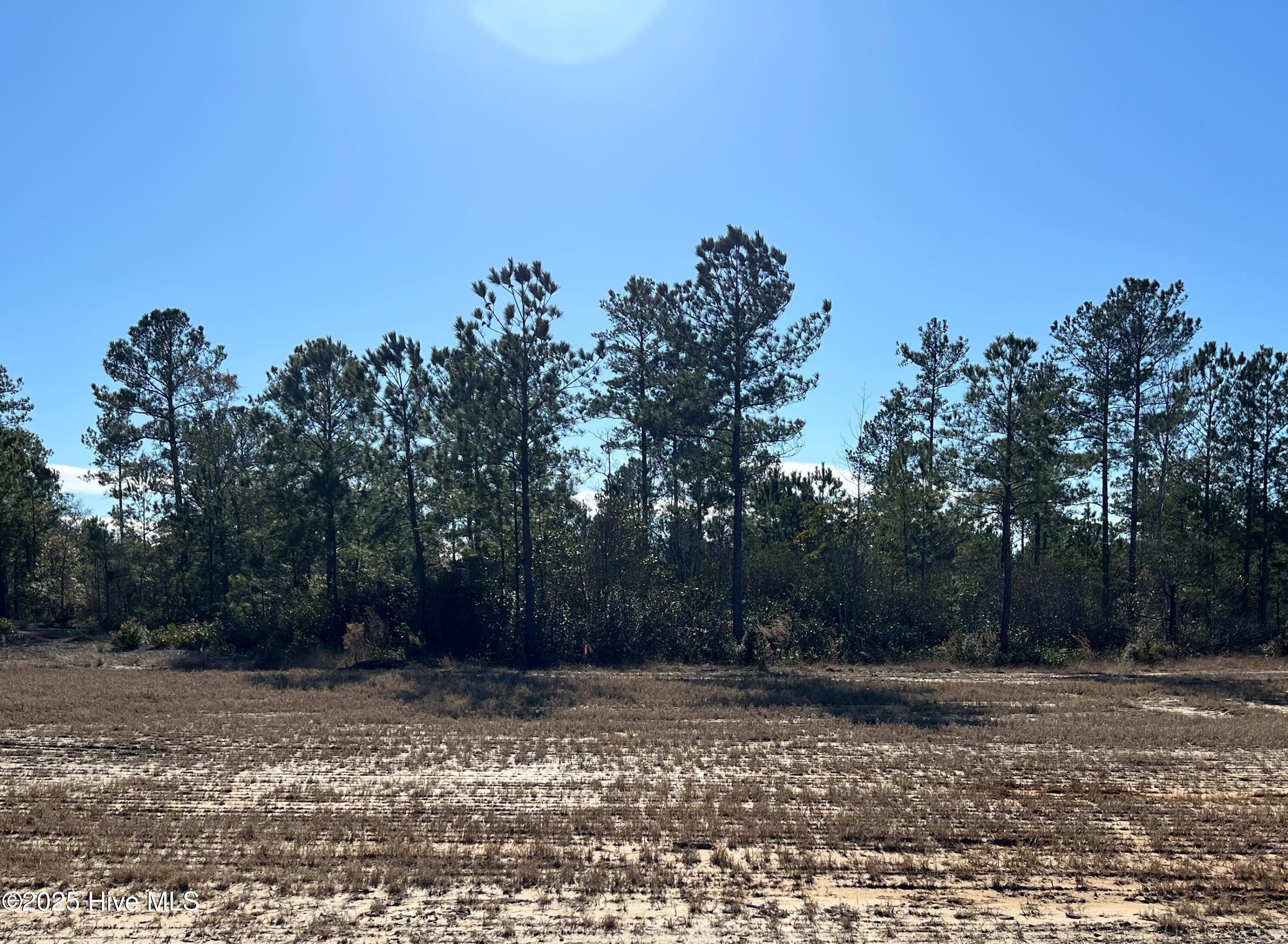2940 W Timber Crest Lane Property Photo 1
