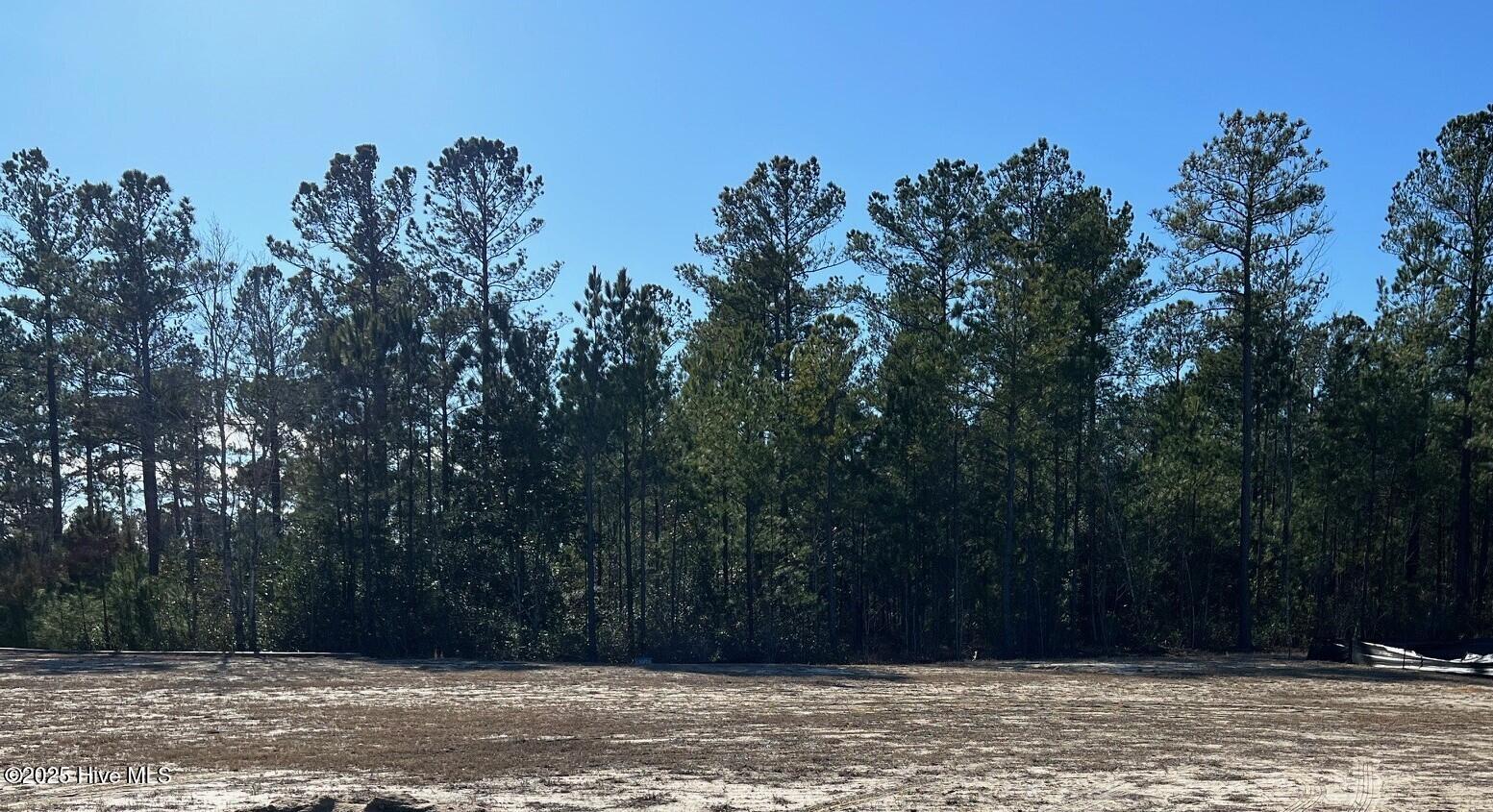 3038 W Timber Crest Lane Property Photo 1