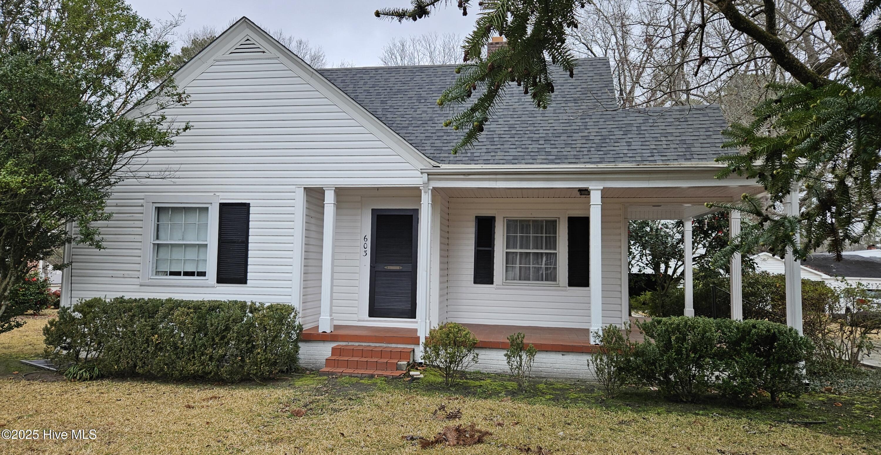603 Woodrow Street Property Photo