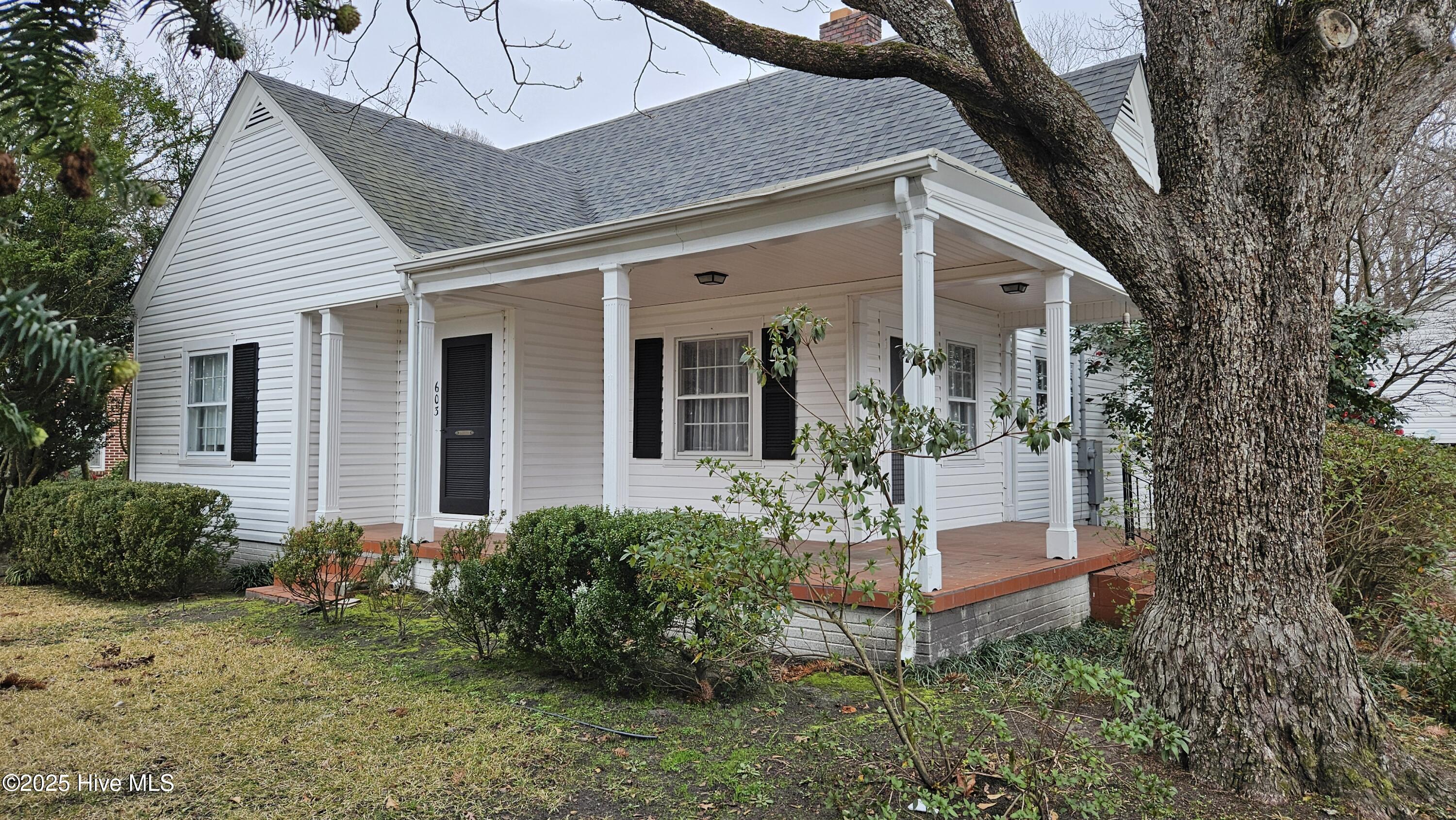 603 Woodrow Street Property Photo 2
