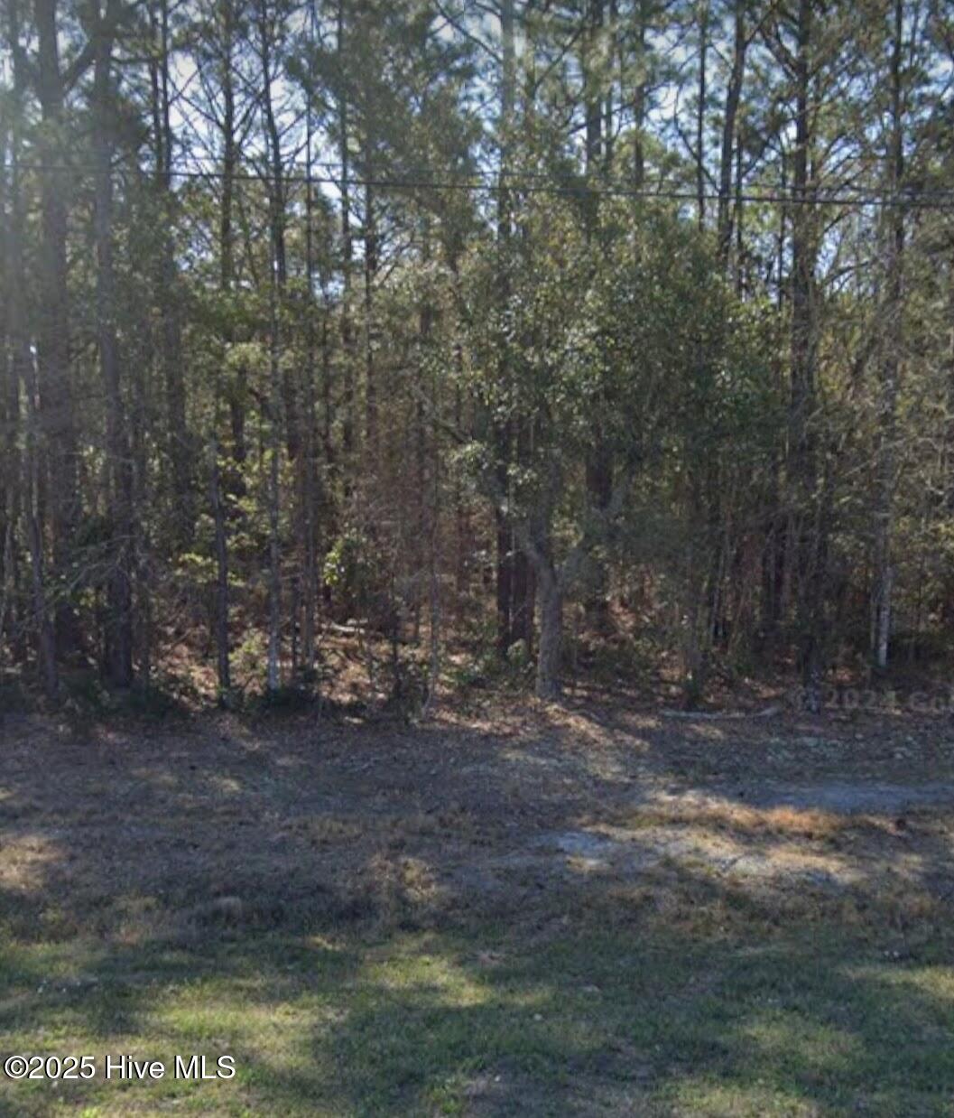 24480 B Us Highway 17 Property Photo 1