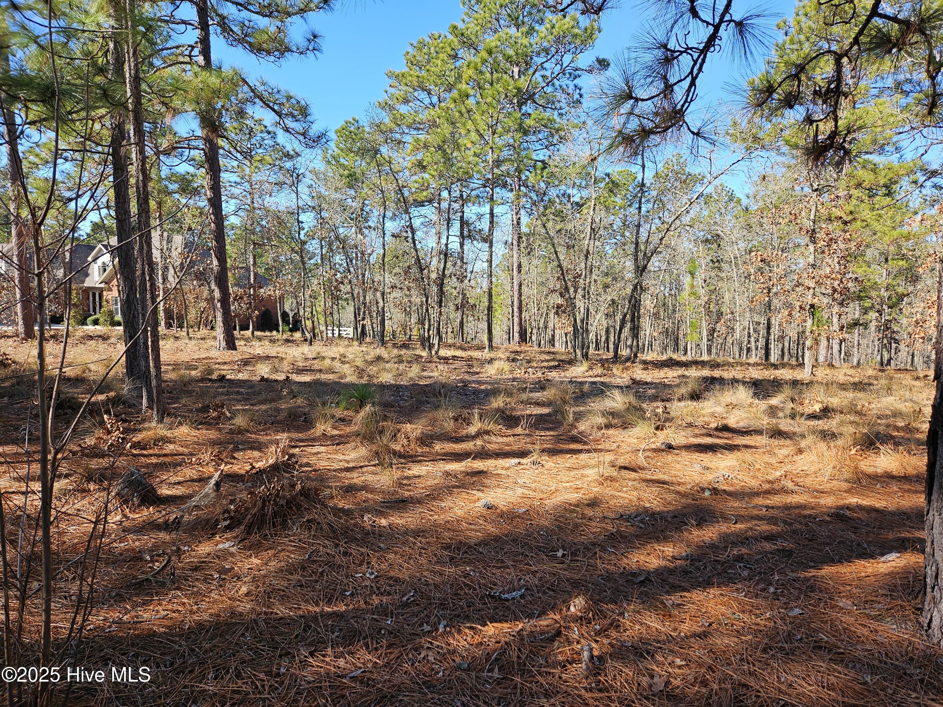 50 Abbottsford Drive Property Photo 3