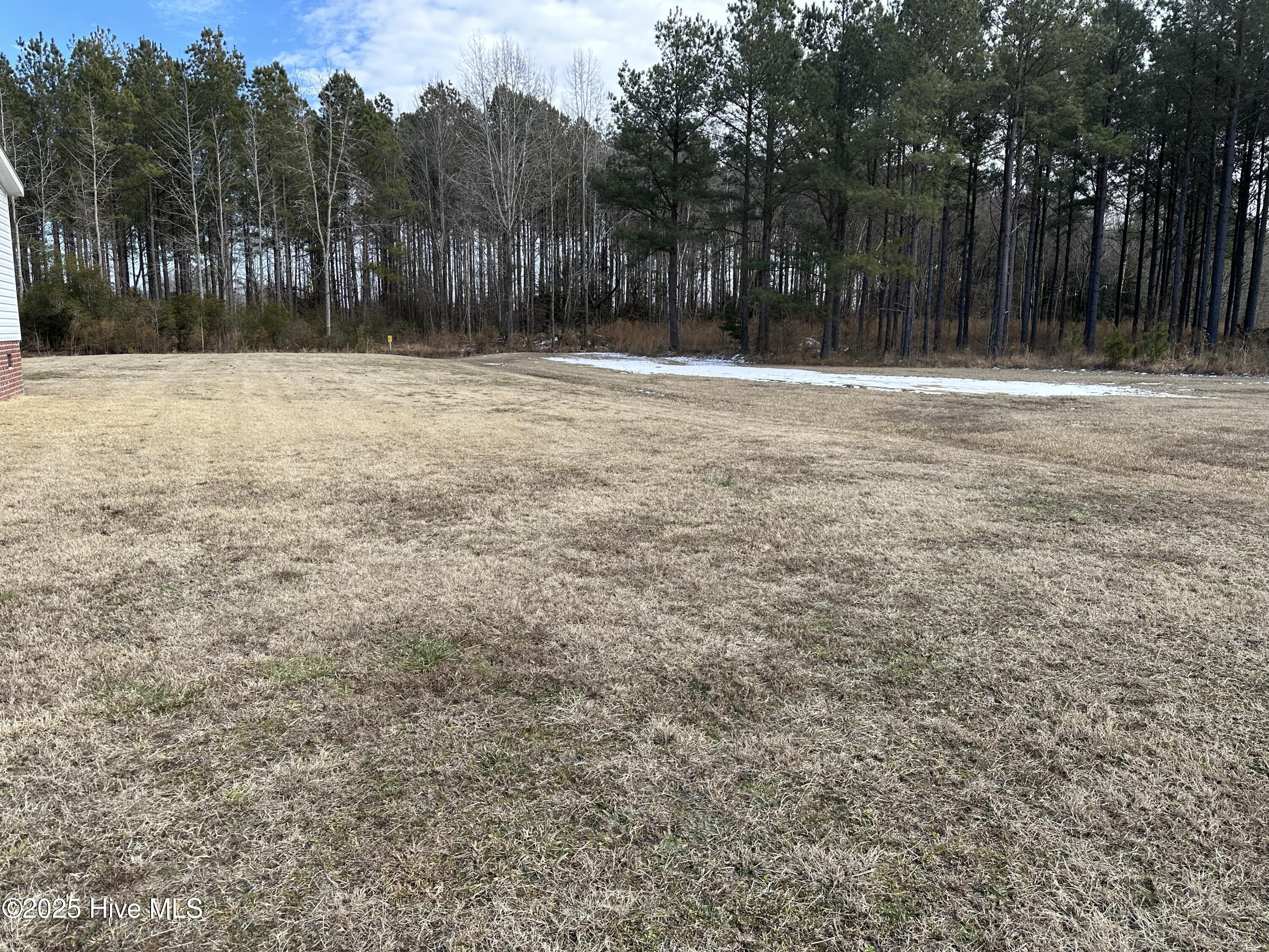 148 Bowles Place Drive Property Photo 14