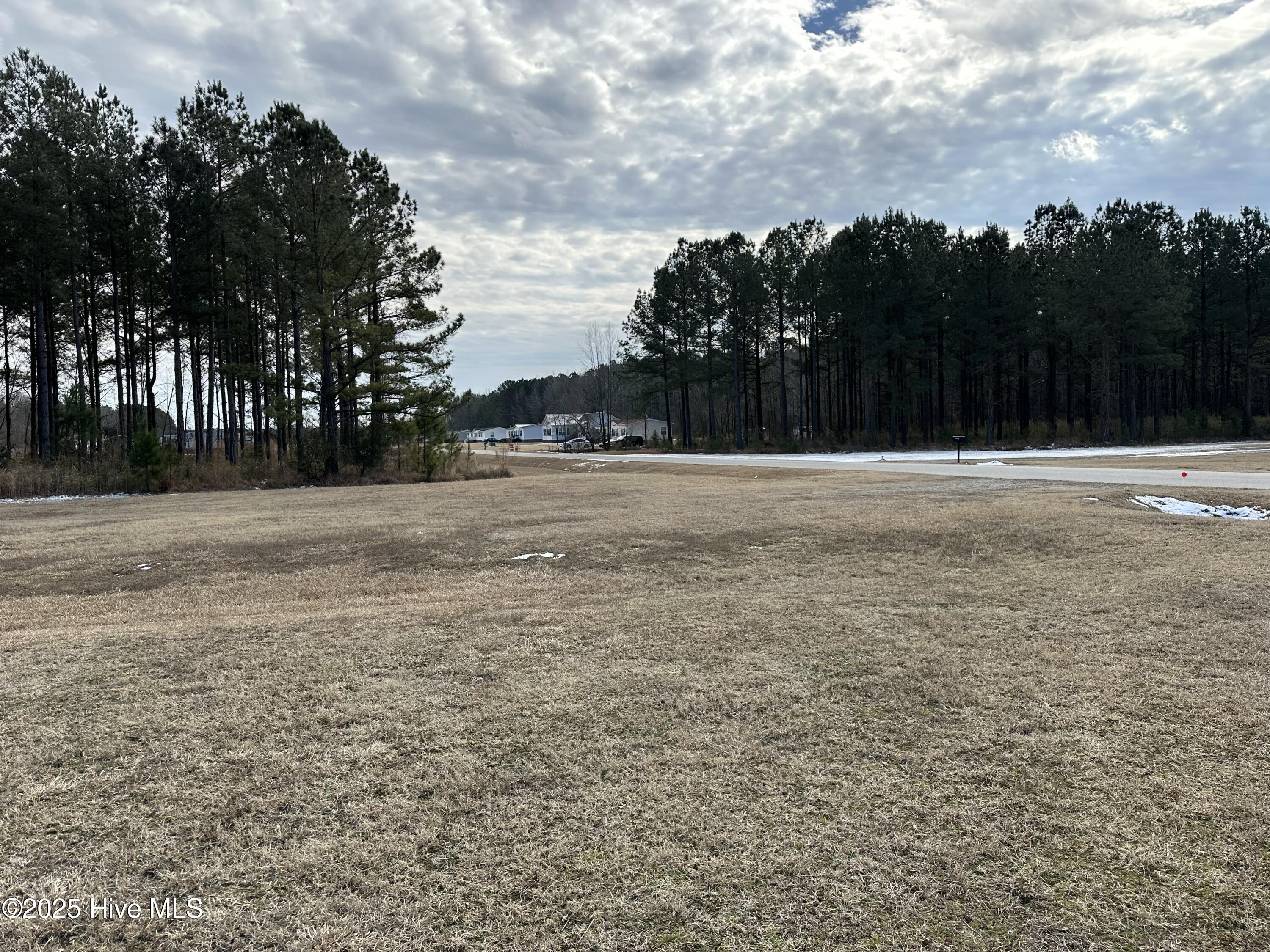 148 Bowles Place Drive Property Photo 16