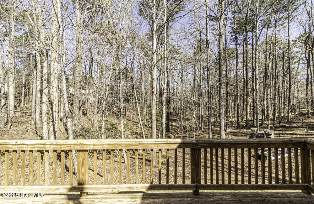 1201 Rivermead Lane Property Photo 46