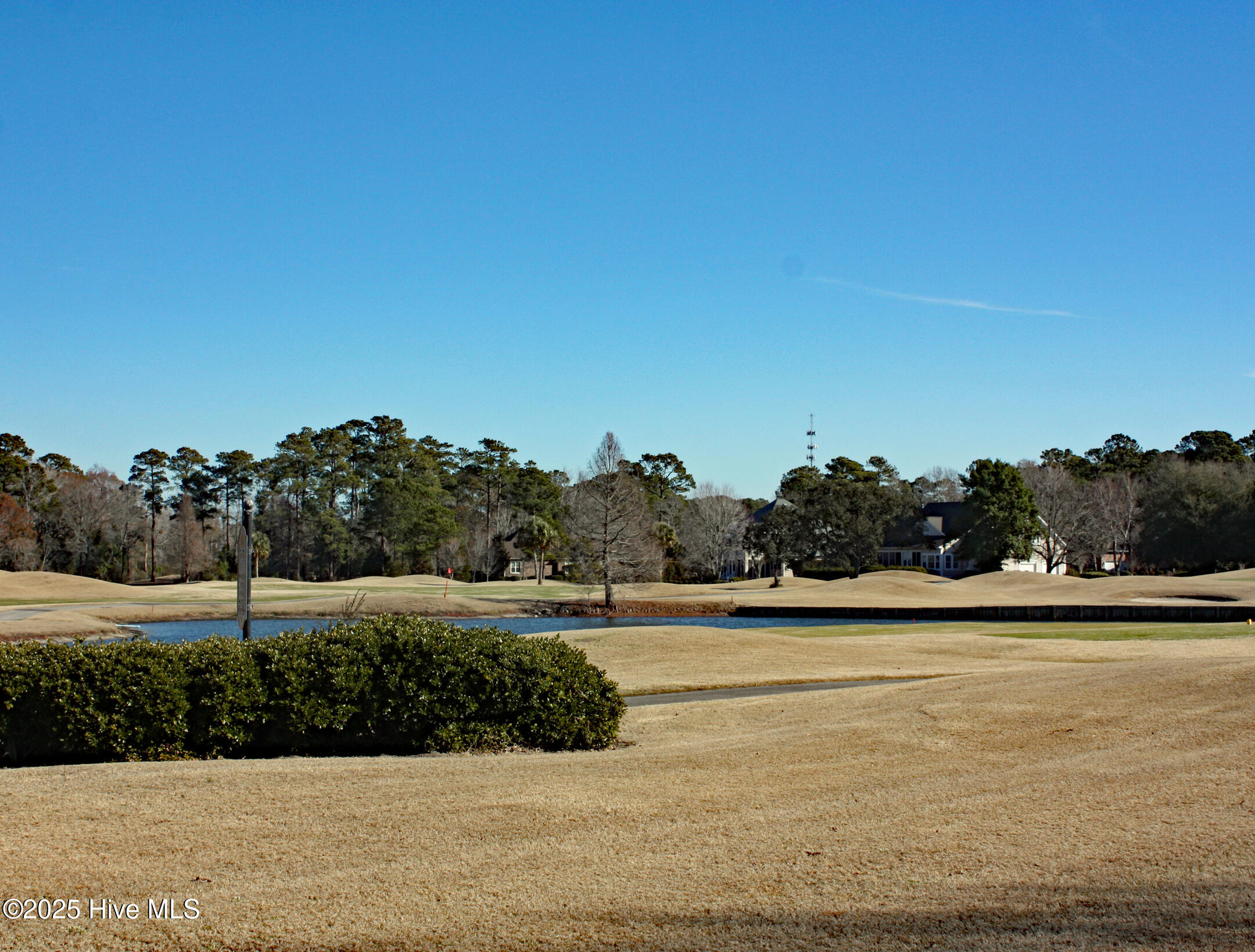 7064 Bloomsbury Court Property Photo 1
