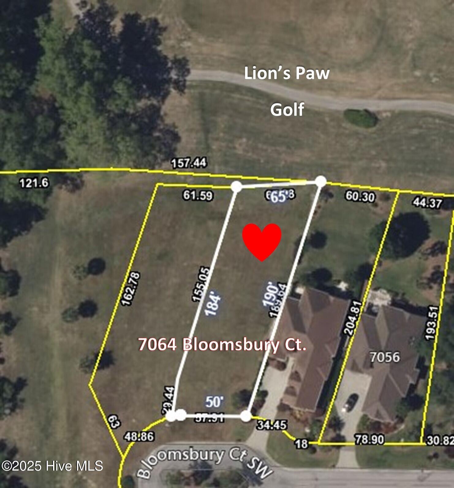7064 Bloomsbury Court Property Photo 2