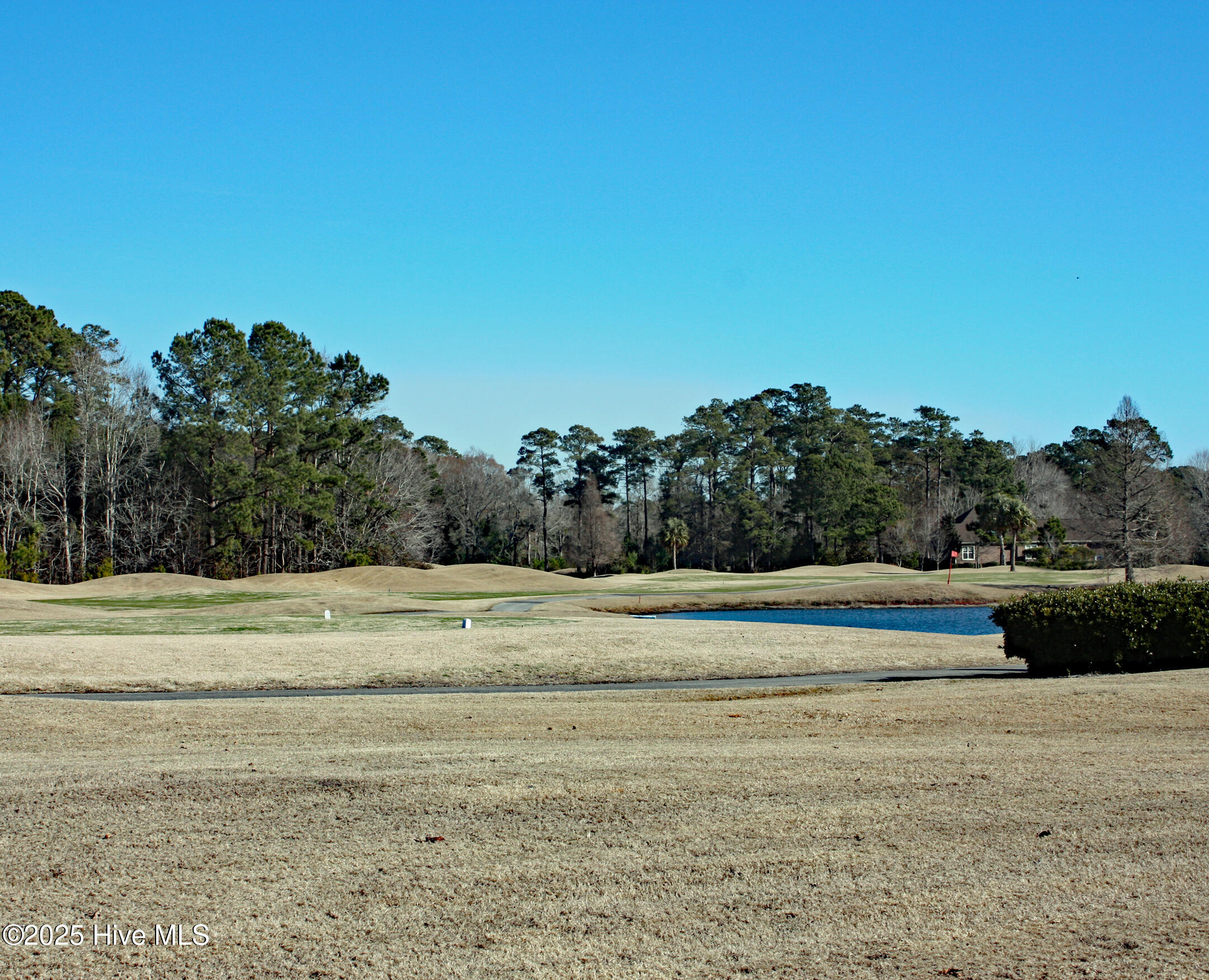 7064 Bloomsbury Court Property Photo 4
