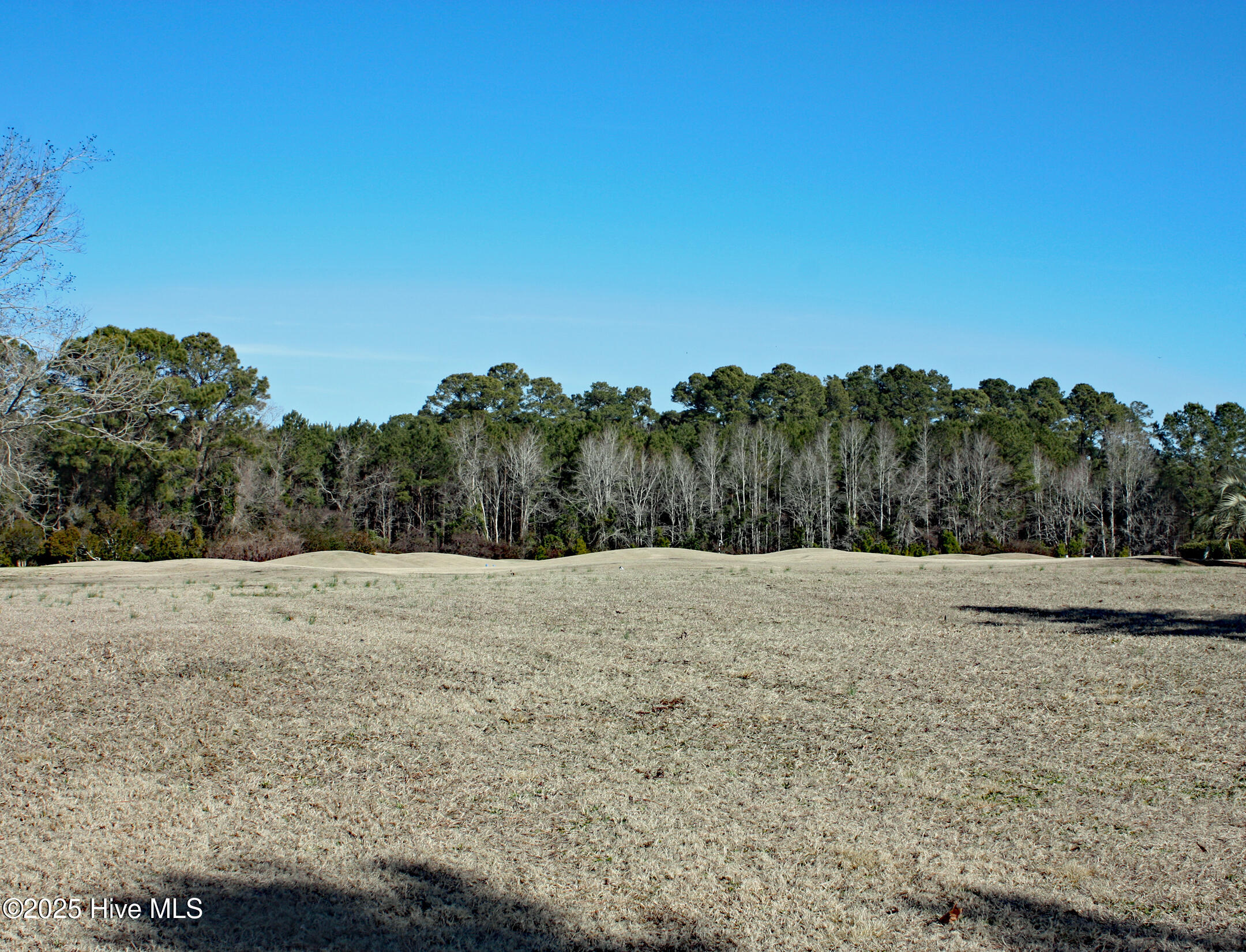 7064 Bloomsbury Court Property Photo 5