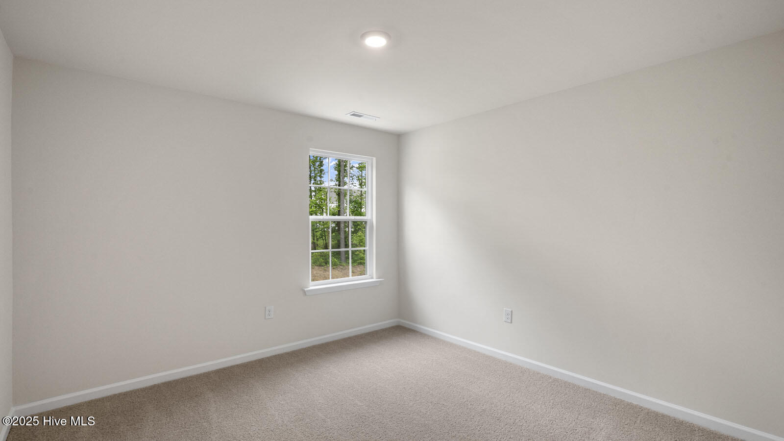 246 Palm Drive Property Photo 19