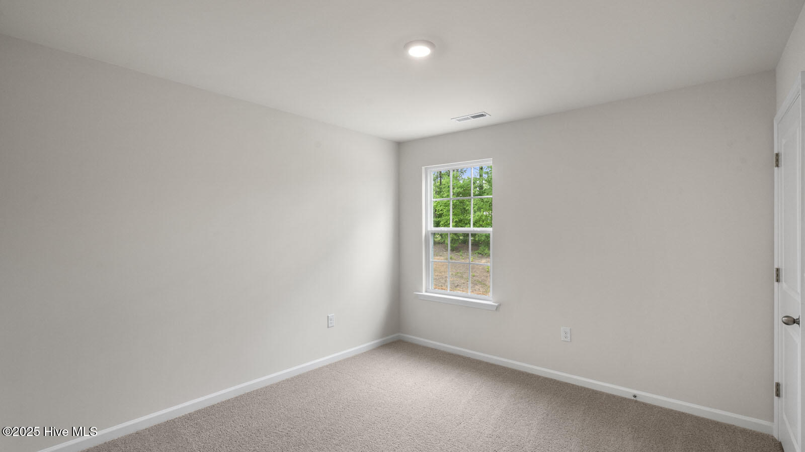 246 Palm Drive Property Photo 22