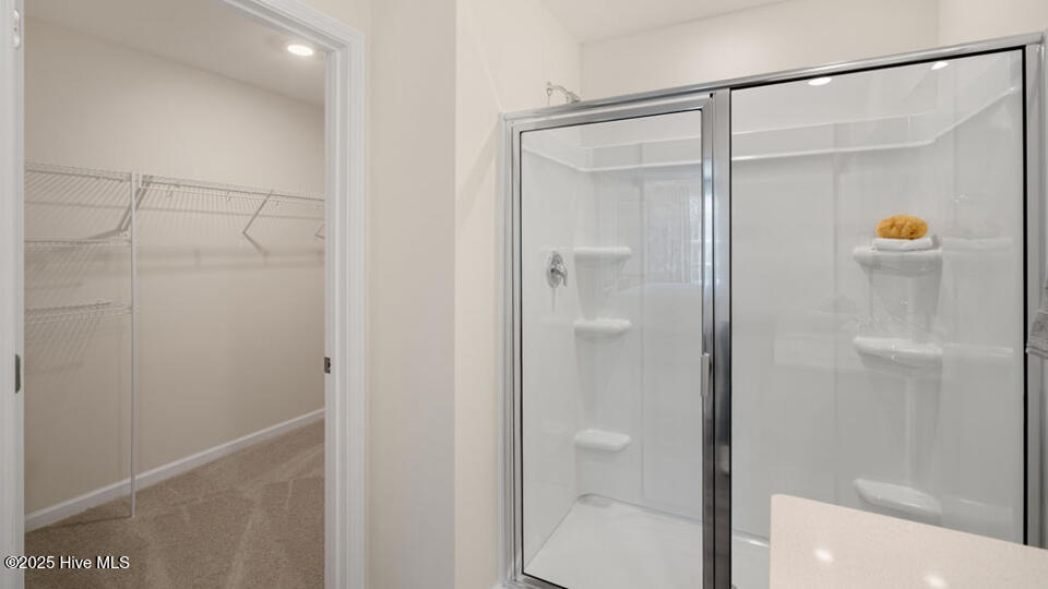 433 Citron Street Property Photo 54