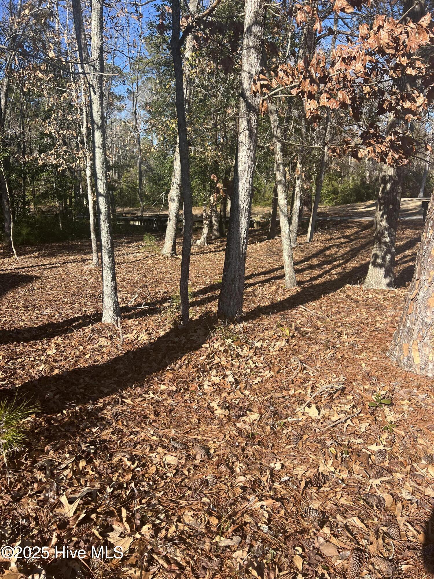 92 Plantation Passage Drive Property Photo 9
