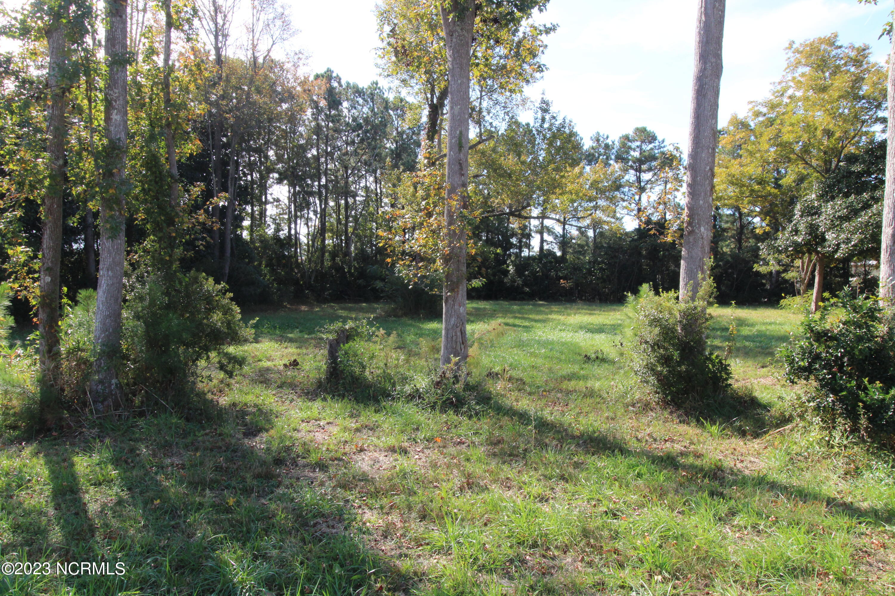 1423 W Corbett Avenue Property Photo 3