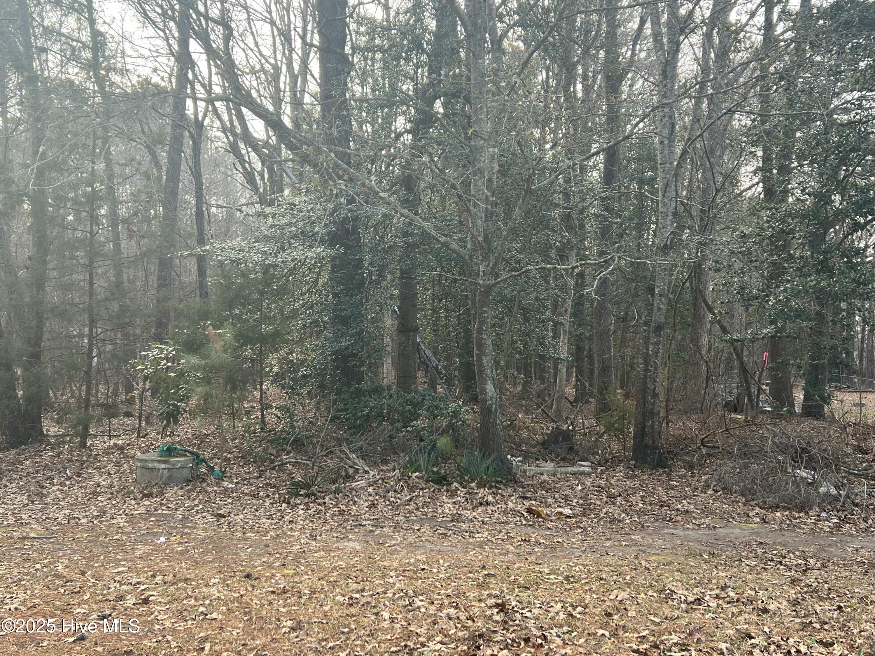 0 Bridgersville Road Property Photo 2