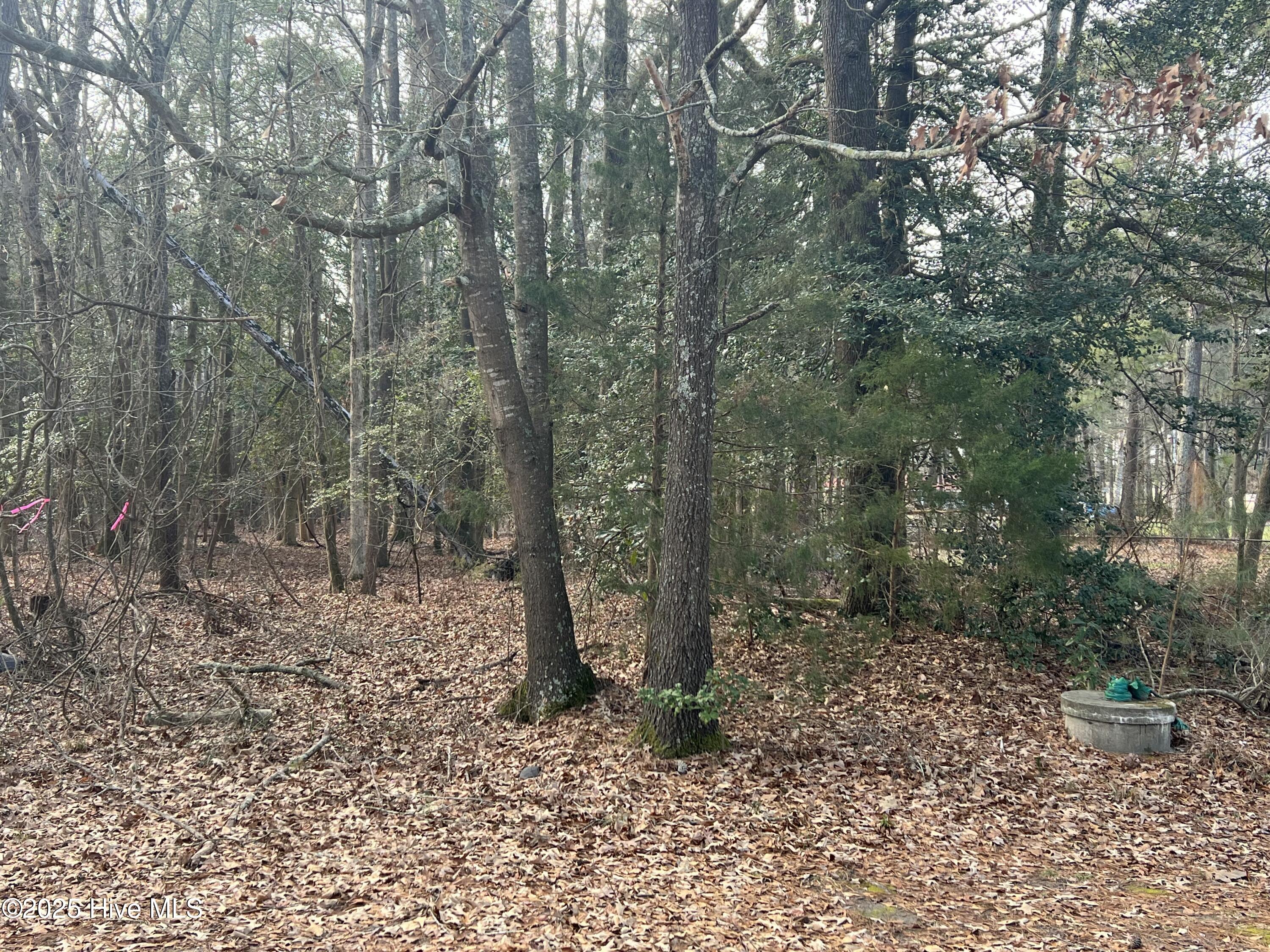 0 Bridgersville Road Property Photo 3