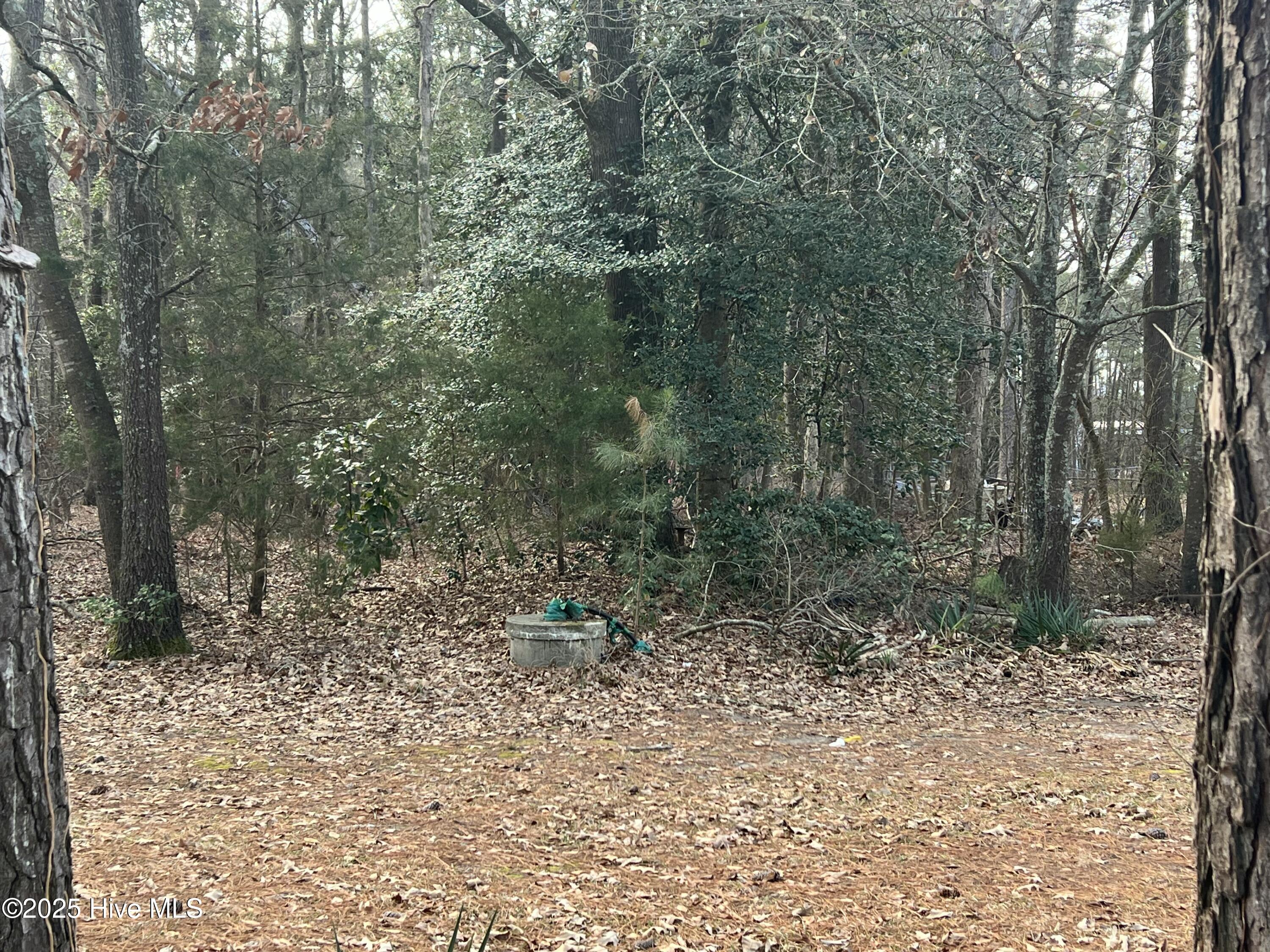 0 Bridgersville Road Property Photo 4