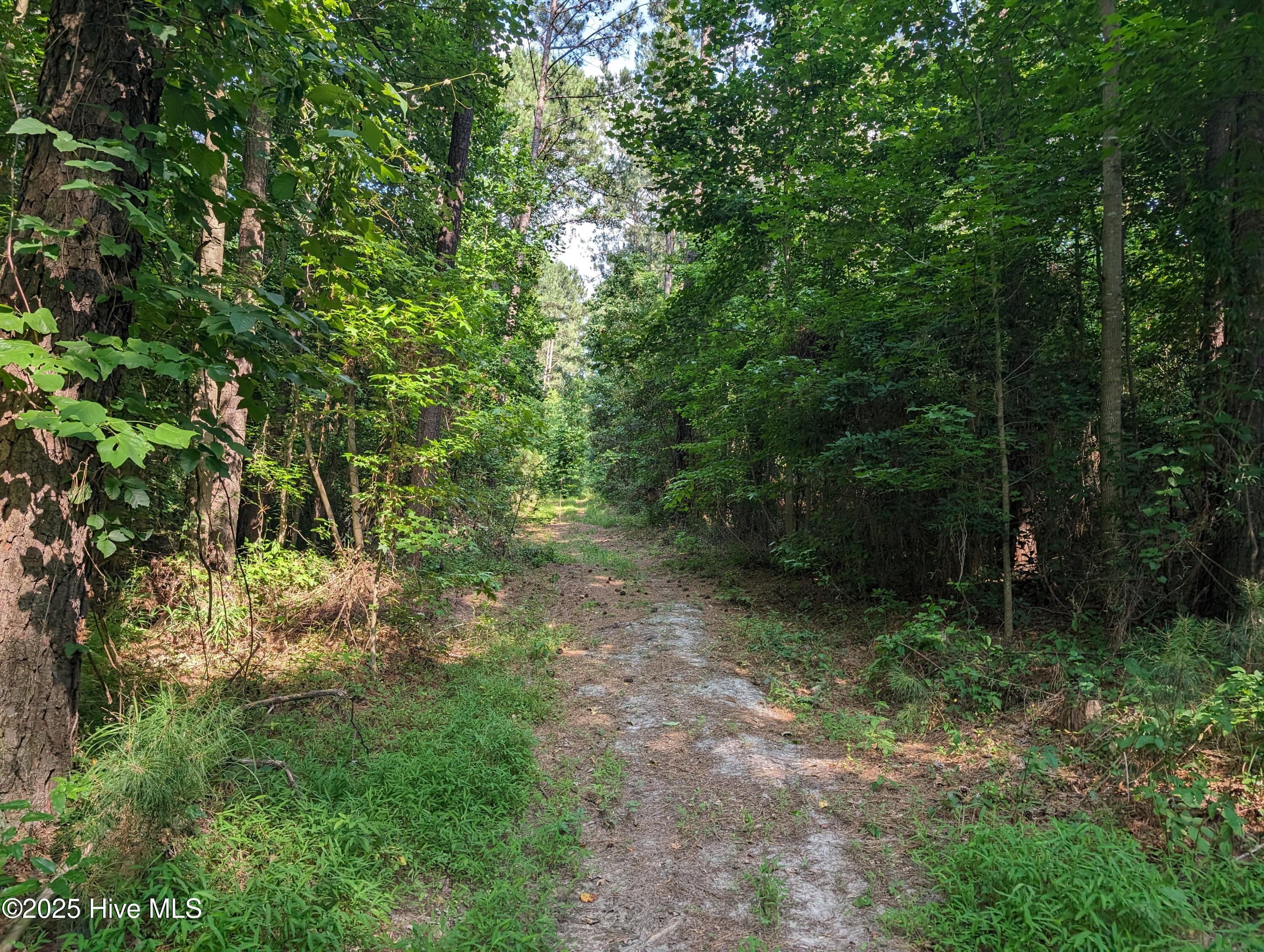 4595 Mercer Mill Brown Marsh Road Property Photo