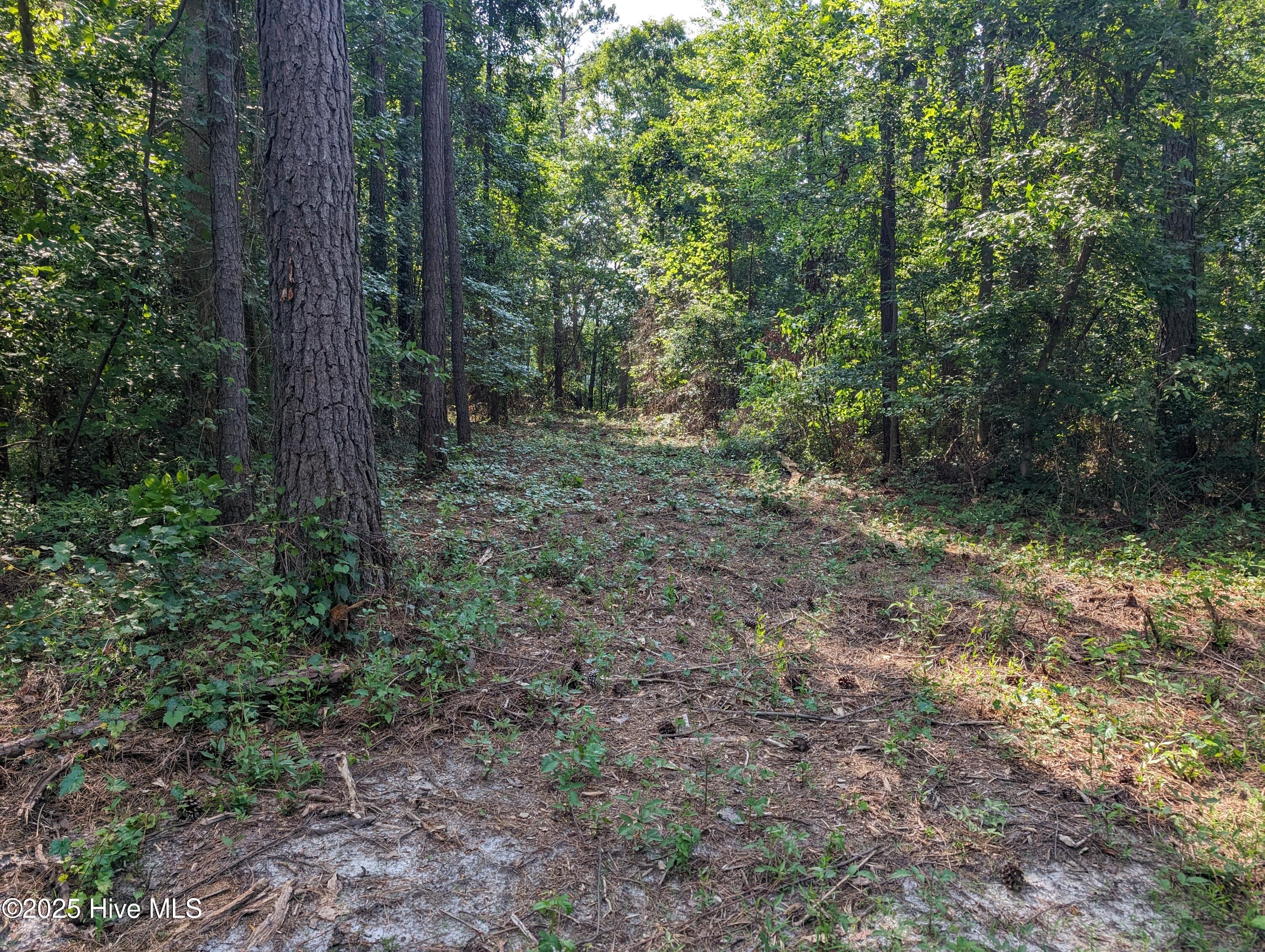 4595 Mercer Mill Brown Marsh Road Property Photo 2