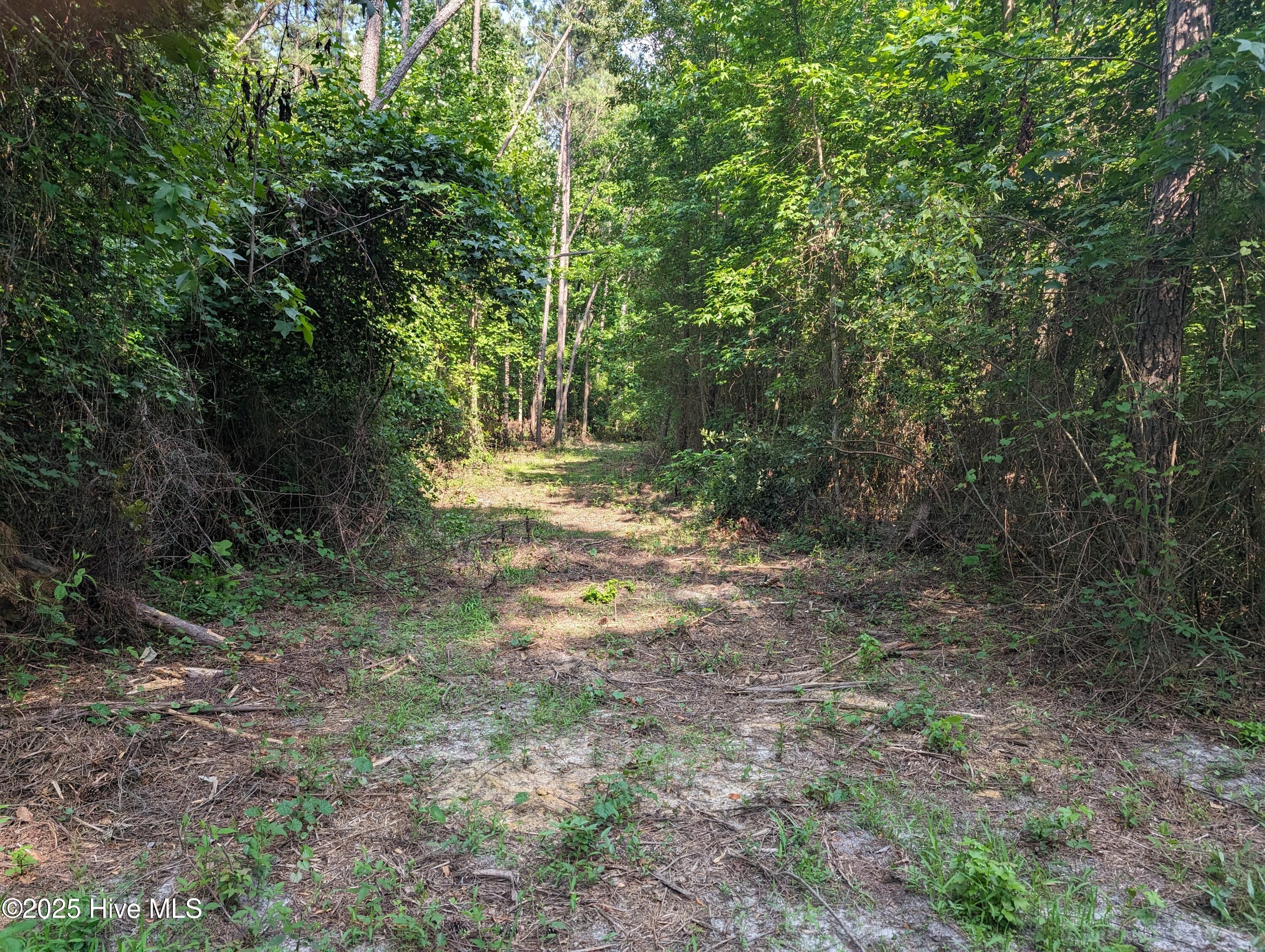 4595 Mercer Mill Brown Marsh Road Property Photo 3