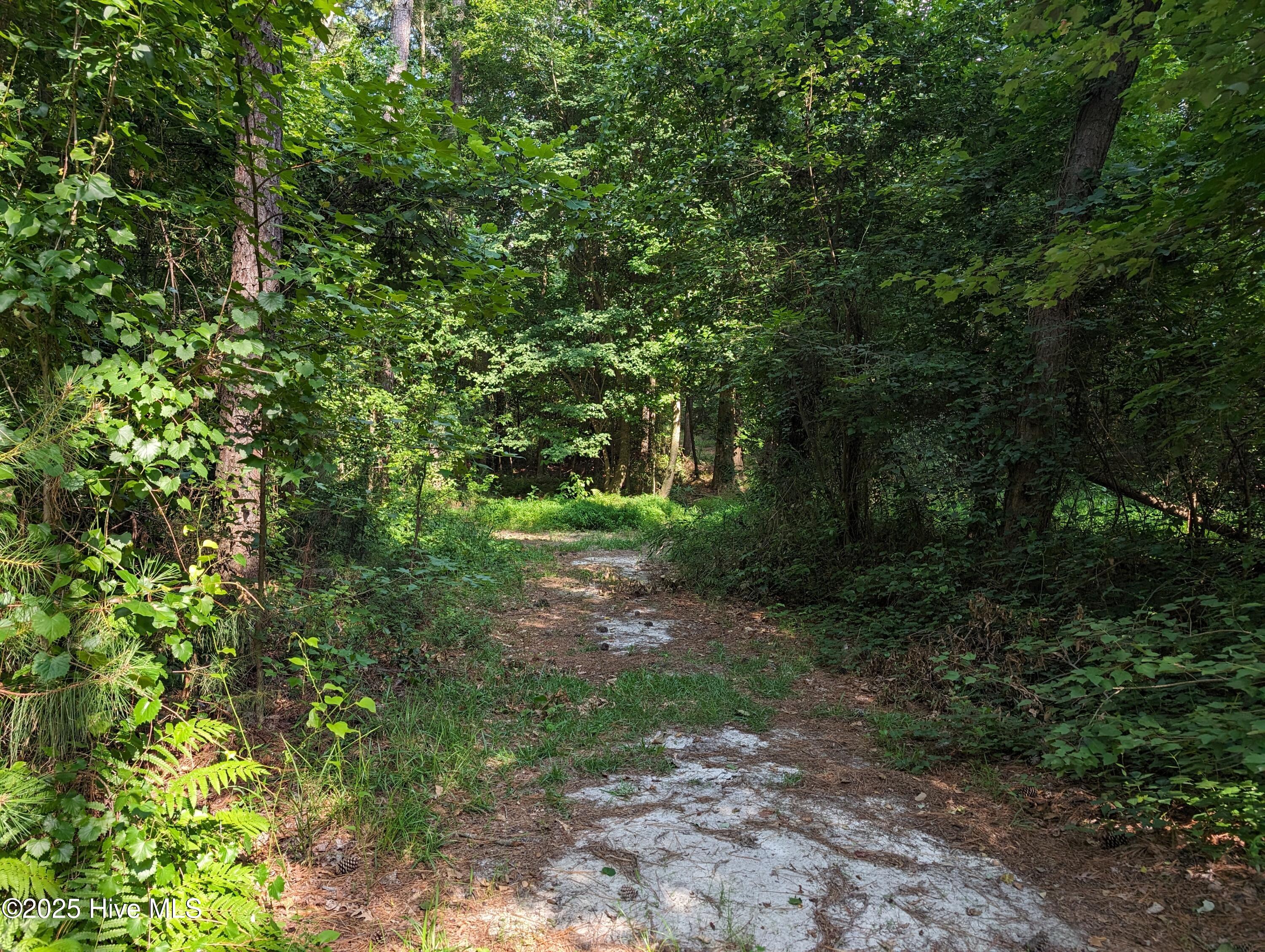 4595 Mercer Mill Brown Marsh Road Property Photo 4