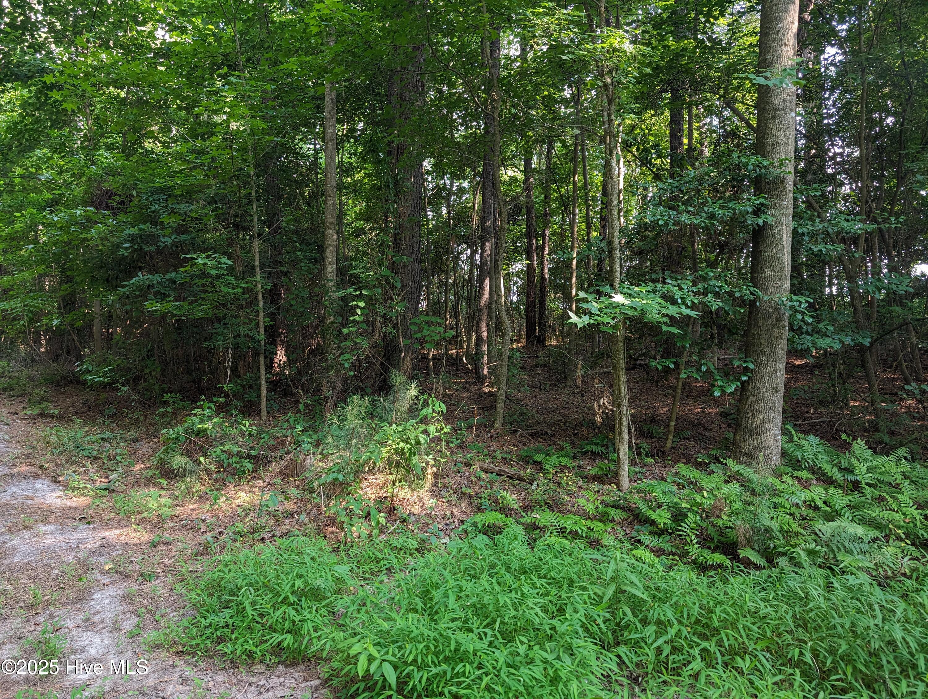 4595 Mercer Mill Brown Marsh Road Property Photo 5