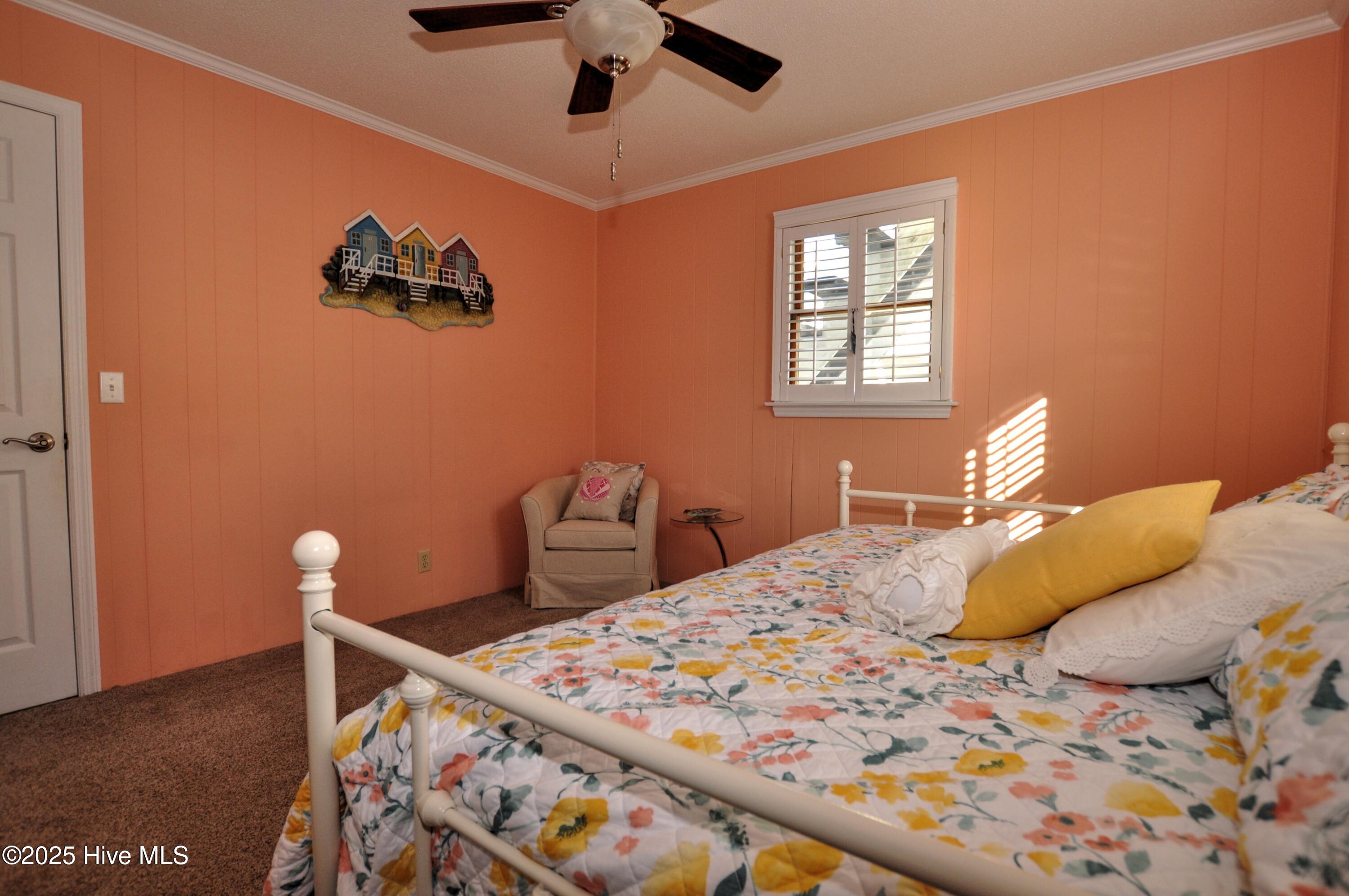 415 4th Street Property Photo 23
