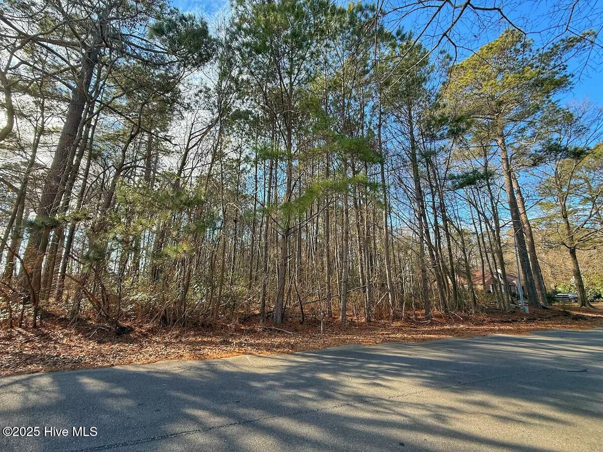 213 Saddlewood Drive