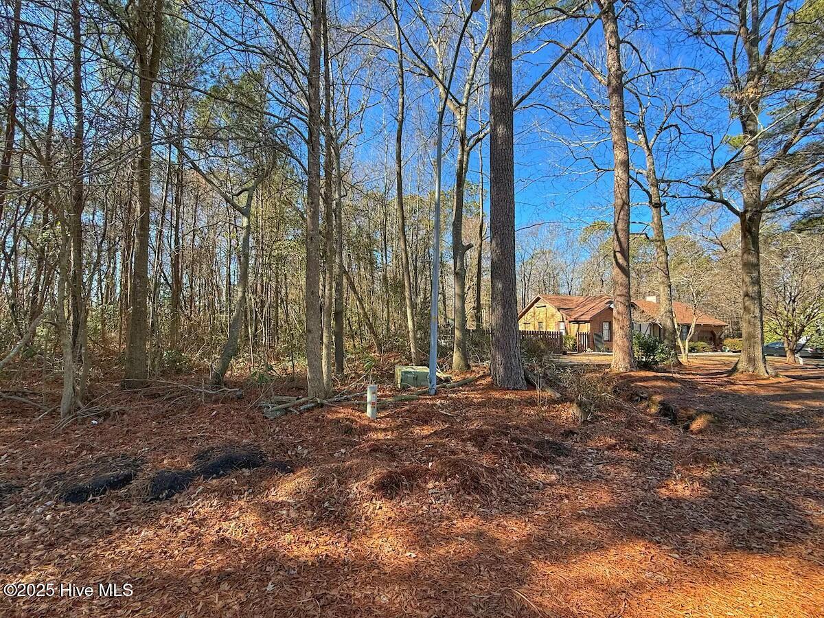 213 Saddlewood Drive Property Photo 7