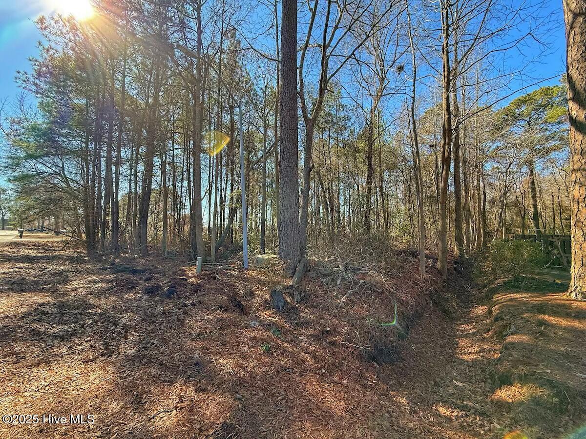 213 Saddlewood Drive Property Photo 8