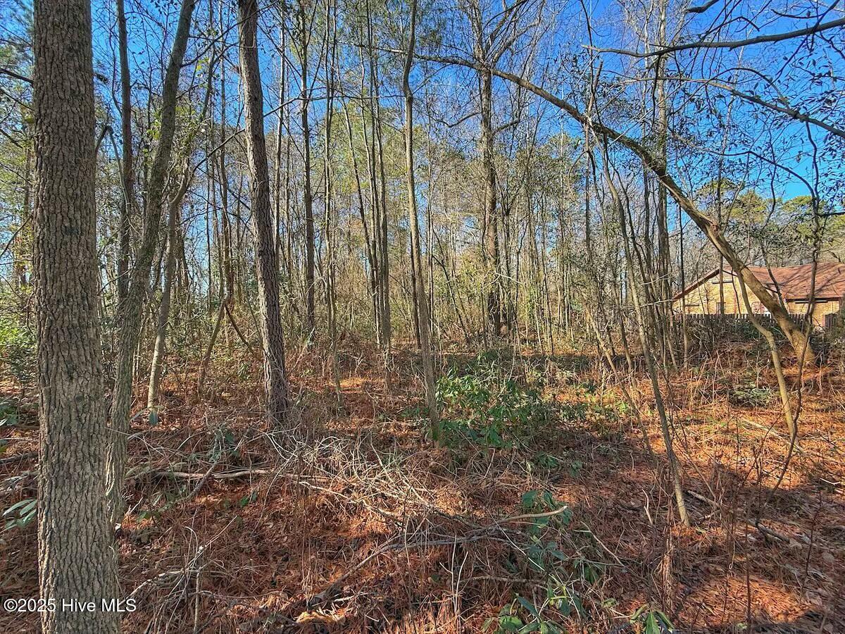 213 Saddlewood Drive Property Photo 10