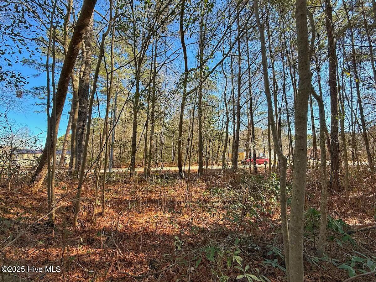 213 Saddlewood Drive Property Photo 12