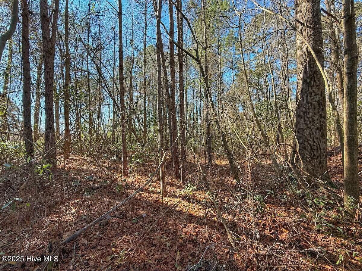 213 Saddlewood Drive Property Photo 13
